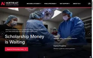 NorthEast Electrical of Sanford website