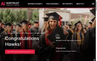 NorthEast Electrical of Augusta website