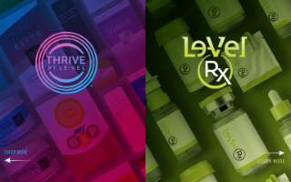 Level Up Financial, LLC
