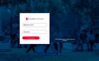 Aliaksandr Niakliayeu I Advisors Insurance Group