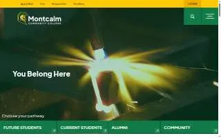 Montcalm Auto Sales website