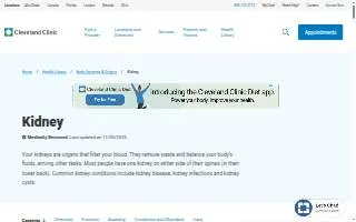 Kidney Health Clinic PC website