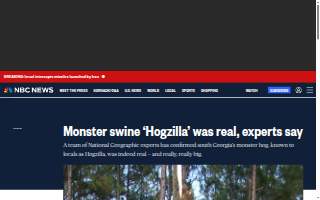 Hogzilla Catering