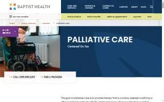 The Intrepid website