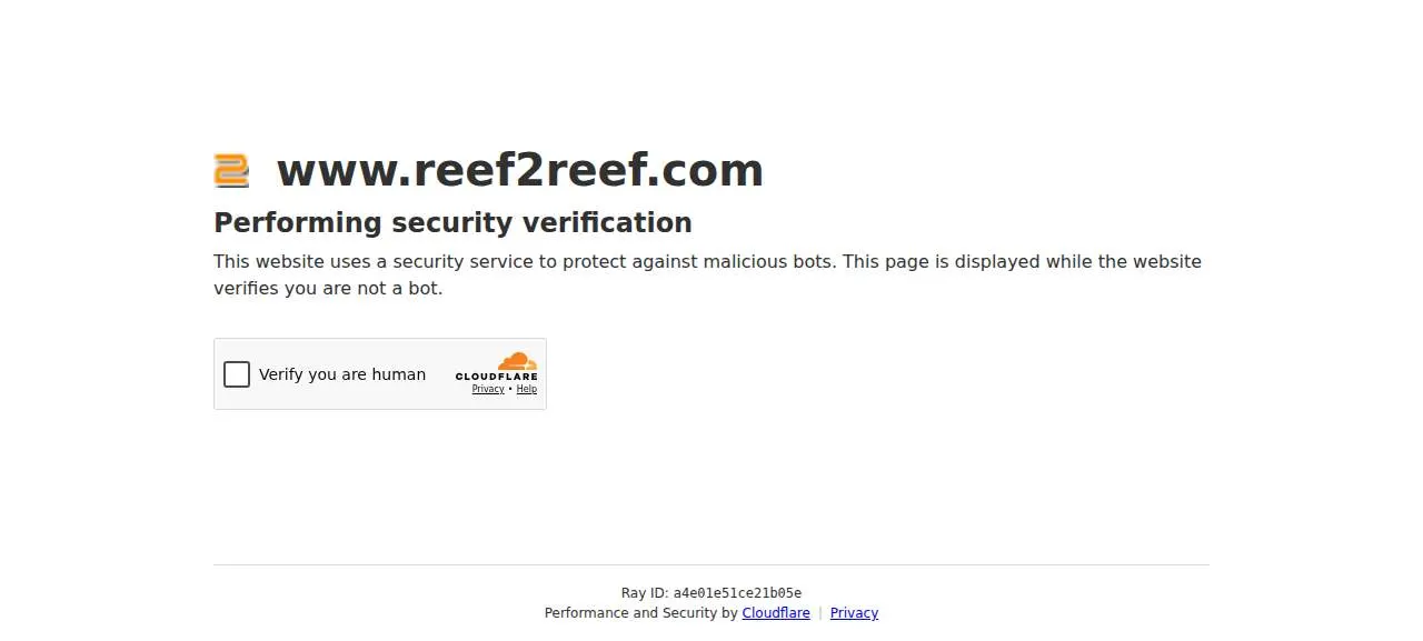 The Reef of Duluth website