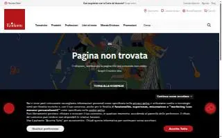 Erickson Construction website
