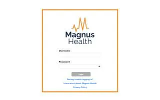 Magnus Fleet Solutions website