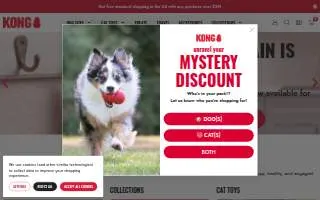 Kong'S Beauty website