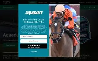 Aqueduct Plumbing Co website