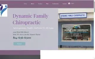 Dynamic Family Chiropractic of Minnetonka website