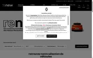 Renew Chiropractic and Wellness website