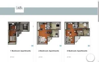 Visionary Plumbing of Cottage Grove website