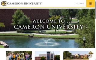 Cameron Voss Edina Realty