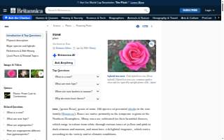 Rose Plumbing & Heating