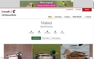 Mallard Lake HVAC