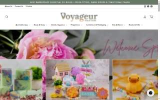 Voyageur Financial