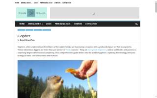 Gopher Heating & Air Conditioning
