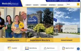 Wentzville Motors website
