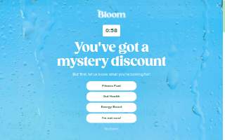 Bloom Wealth