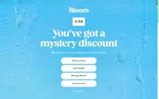 Bloom Wealth website