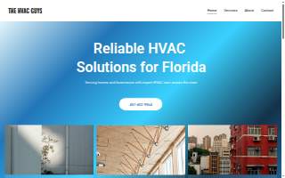 The HVAC Guys