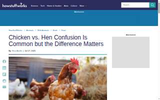 Hen House of Hattiesburg