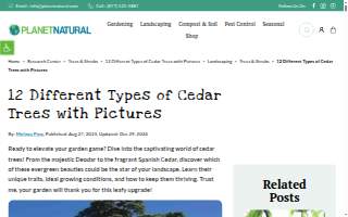 Cedar Lake Chiropractic