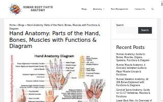 HANDS REHAB /. Florida Hand Team & Associates Miramar LLC