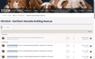 Bulldog Rooter of Spokane Valley