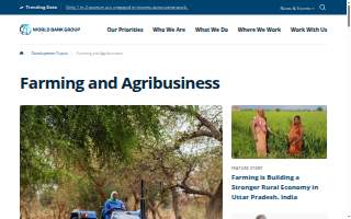 Agriculture Accounting Solutions