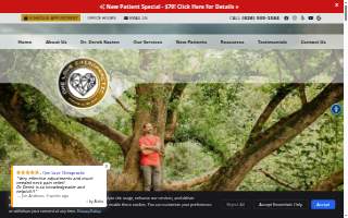 One Love Chiropractic website