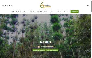 Nastus Brothers Inc. website