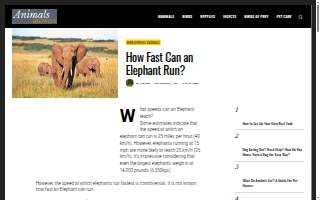 Elephant Ranch