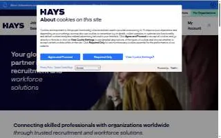Hays Law Office website