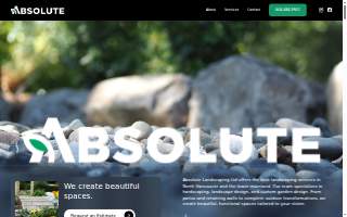 Absolute Paradise Landscaping