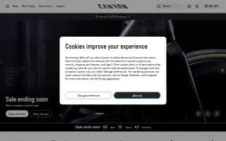 Canyon Chiropractic Clinic of Elko website
