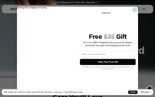 Nomad Notary Florida website