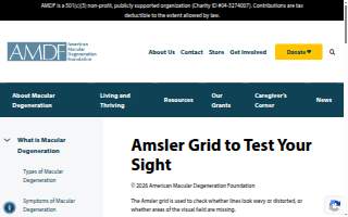 Amsler's auto sales inc website