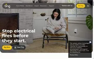 Ting Ho website
