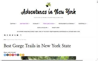 Gorges Dental, Anthony Raggi, DMD website