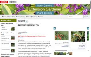 TaxUS Financial LLC