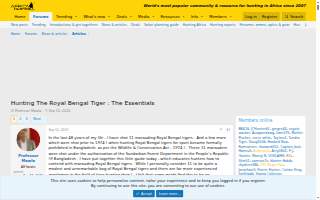 Tiger Lily Coffee Company