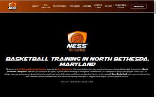 Ness Holding Co