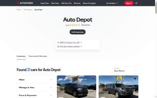 The Auto Depot