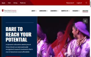 Stony Brook Vision World