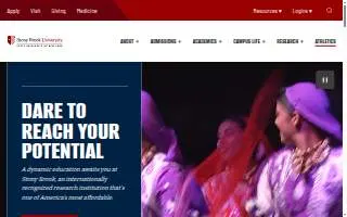 Stony Brook Vision World website