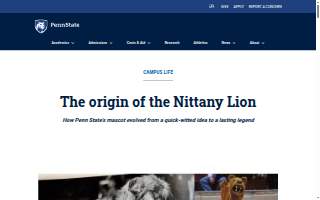 Nittany Accounting and Tax Solutions, LLC website