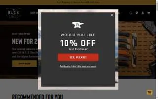 Buck's Auto Care website