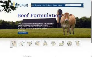Burkman Electric website