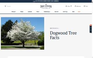 Dogwood Dentistry